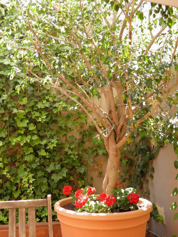 Suitur Courtyard Apartment バルセロナ エクステリア 写真